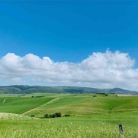 Vacanze sulle colline Toscane ad un passo dal mare Orciano Pisano Esterno foto